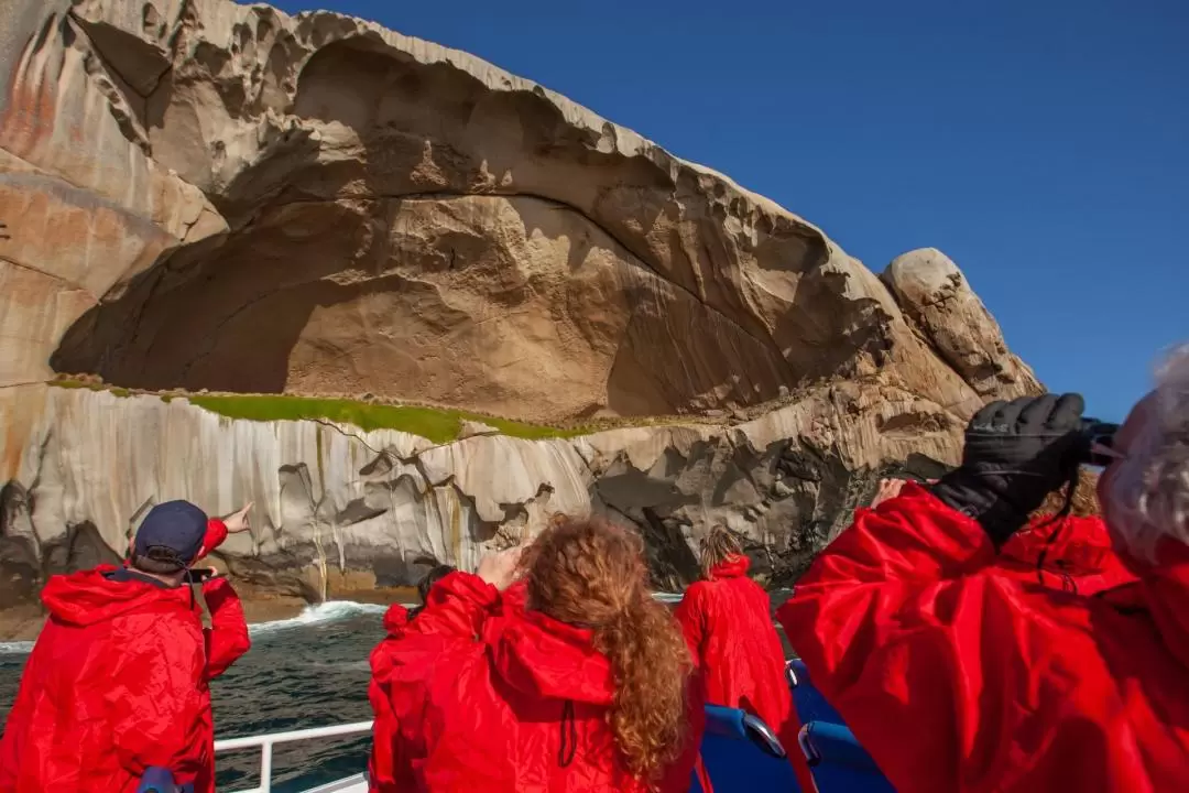 Wilsons Promontory Wildlife Cruise 