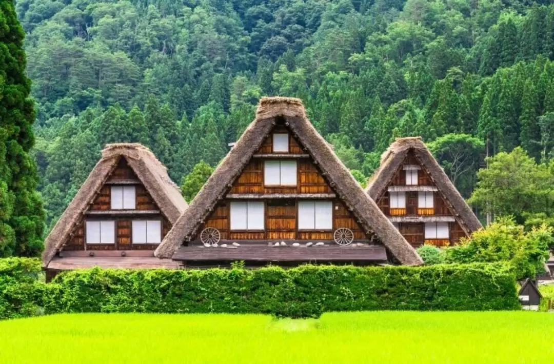 2天1夜 金澤 & 白川鄉之旅（名古屋出發）