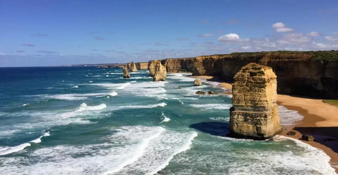 Boutique Great Ocean Road Reverse Itinerary Tour from Melbourne