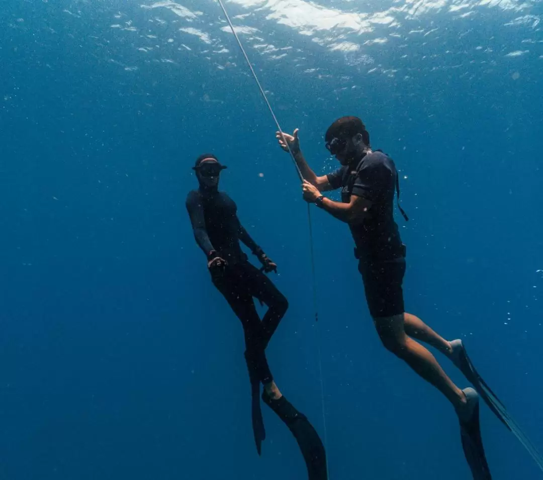 Koh Phi Phi: Introduction Course to Freediving (1 or 2 days)