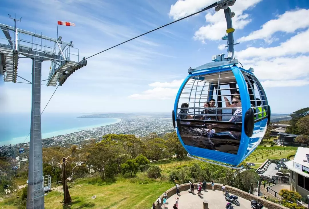 Arthurs Seat Eagle Gondola Ticket on the Mornington Peninsula