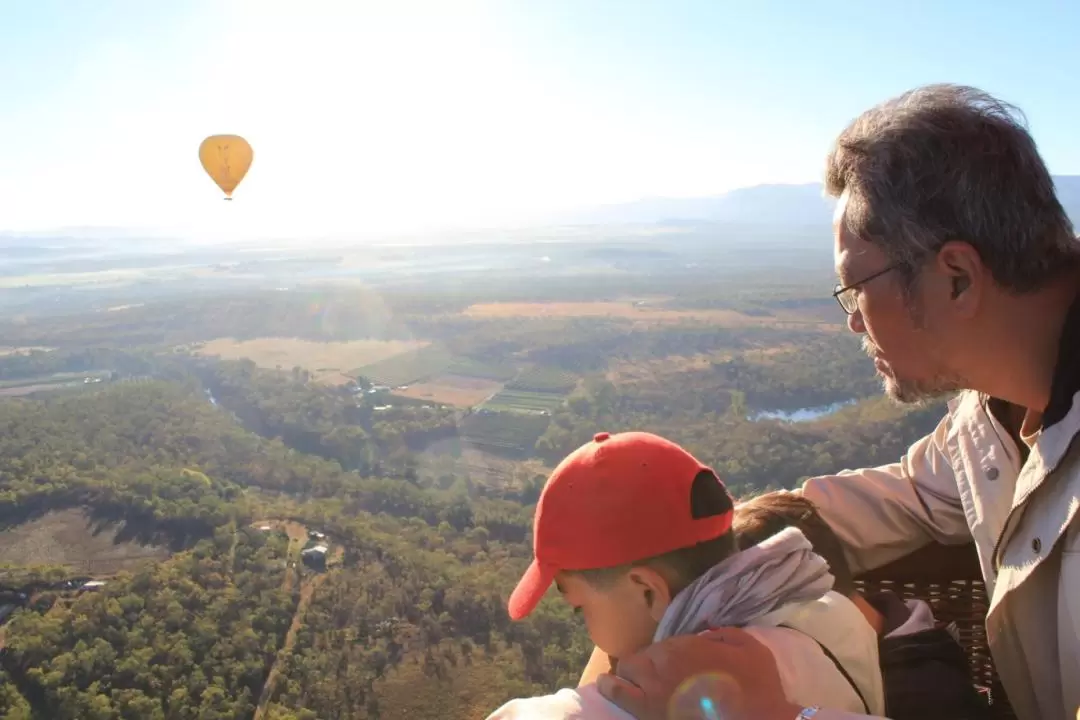 Hot Air Balloon, Meet Alpaca's and Vineyard Breakfast in Brisbane