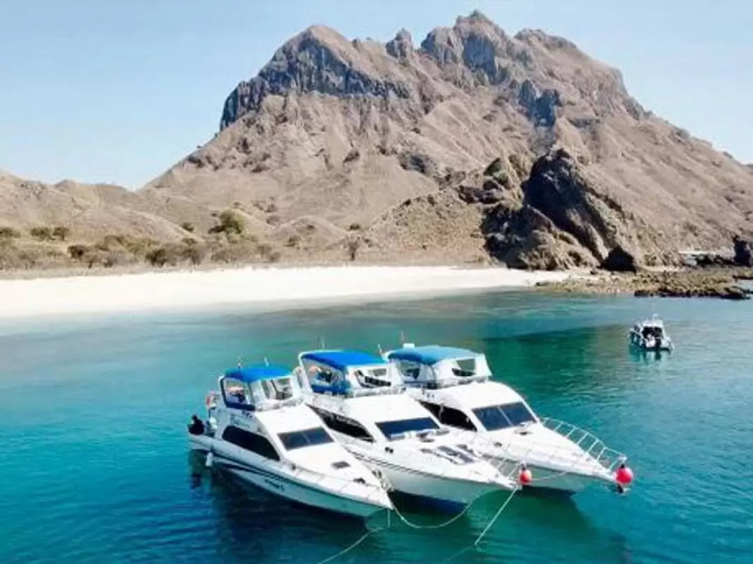 Full Day Speedboat Tour from Labuan Bajo by East Cruise Komodo