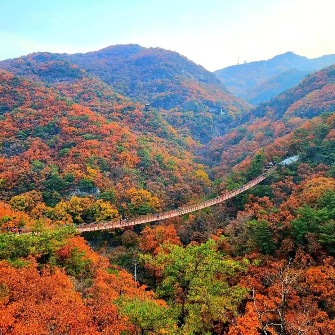 首爾市 & 季節性熱門景點一日遊