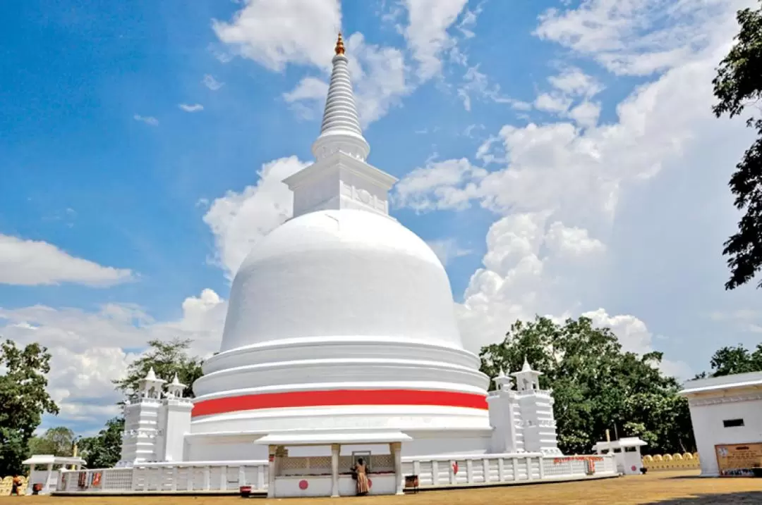 Waterfalls, Tea Plantation, and Ancestors Village Day Tour from Kandy 