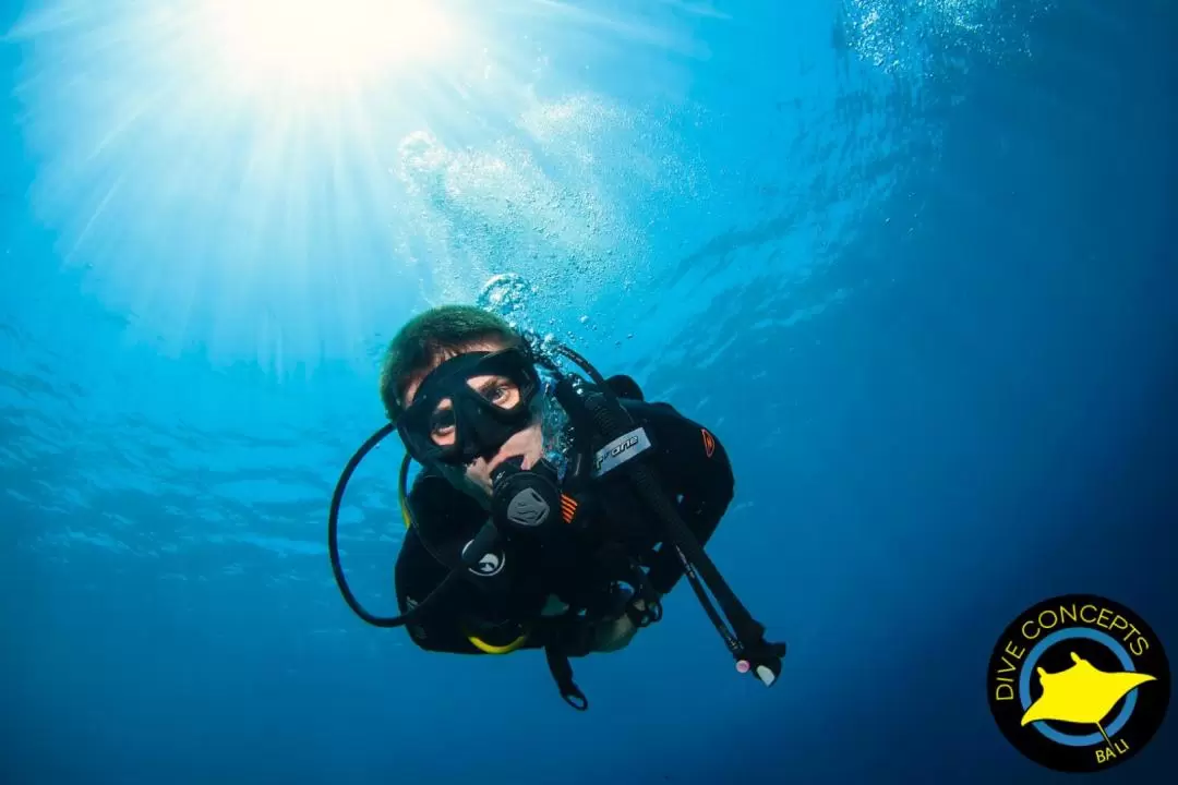 Lembongan浮潛 & 水肺潛水 & 開放水域課程（巴厘島Dive Concepts提供）