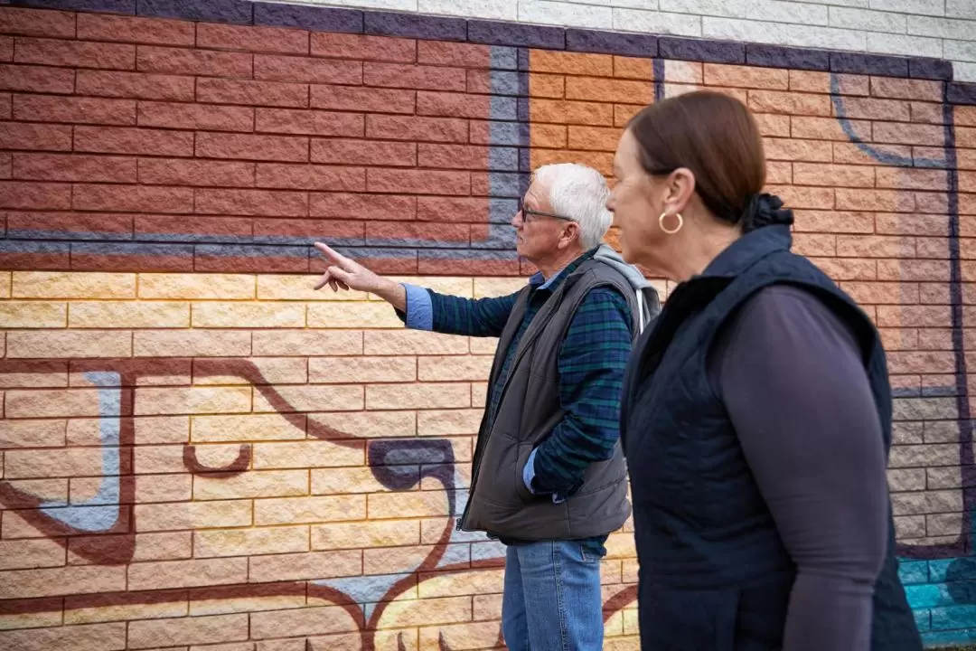 Guided Street Art Walking Tour in Albany