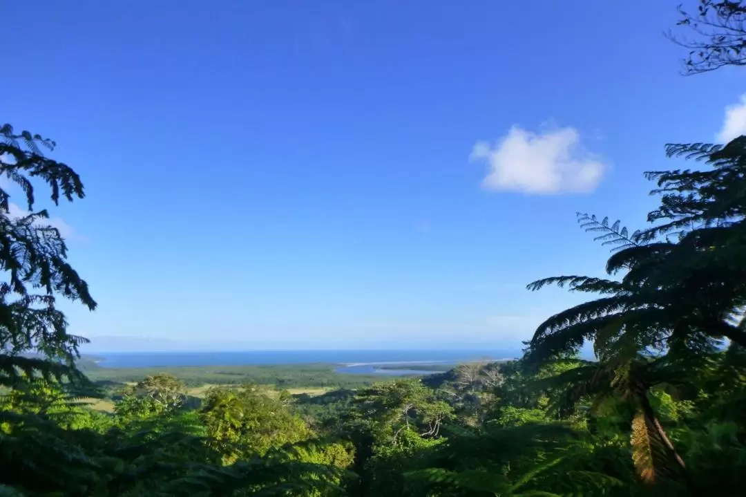 Cape Tribulation, Daintree Rainforest and Mossman Gorge Day Tour from Cairns