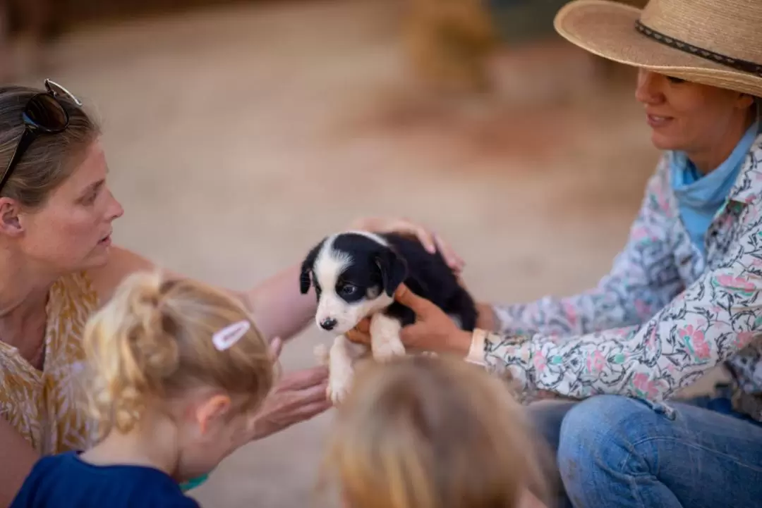 Authentic Outback Show in Katherine