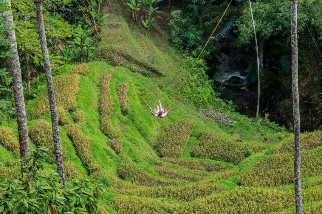 Bali Swing and Waterfall Full Day Tour in Ubud