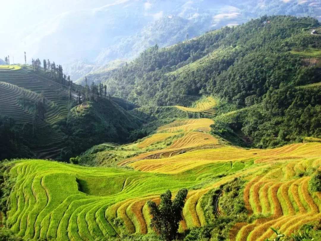 2D1N Sapa Tour from Hanoi Fanxipang Cable Car or Moana View (optional)