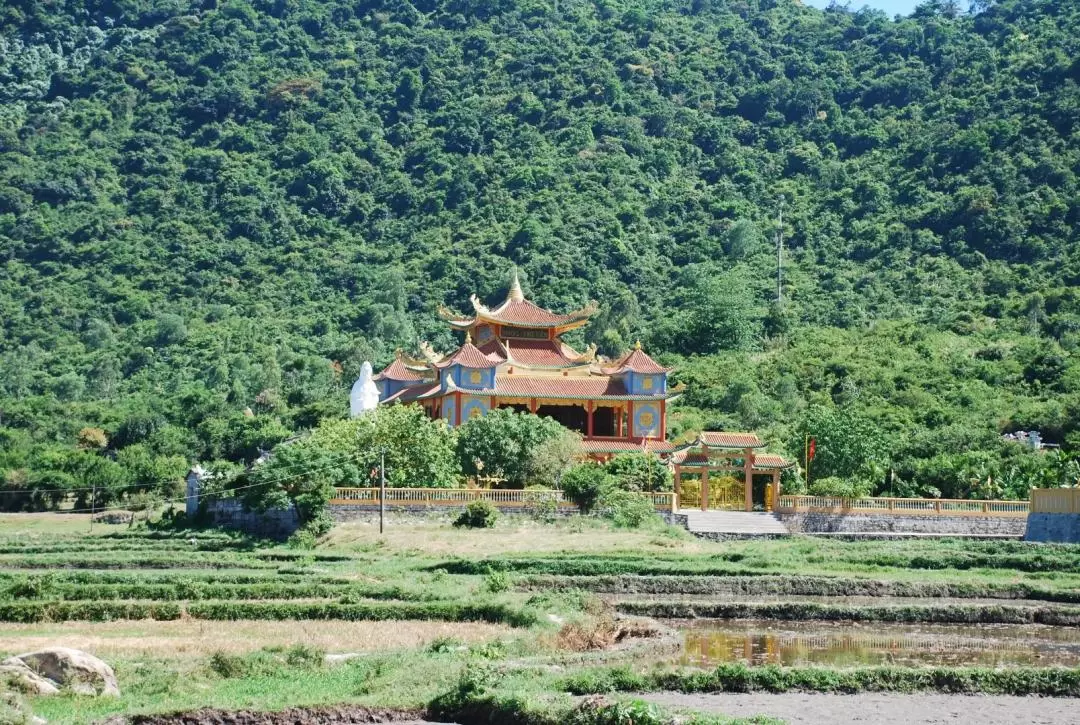 Cham Islands Day Tour from Da Nang