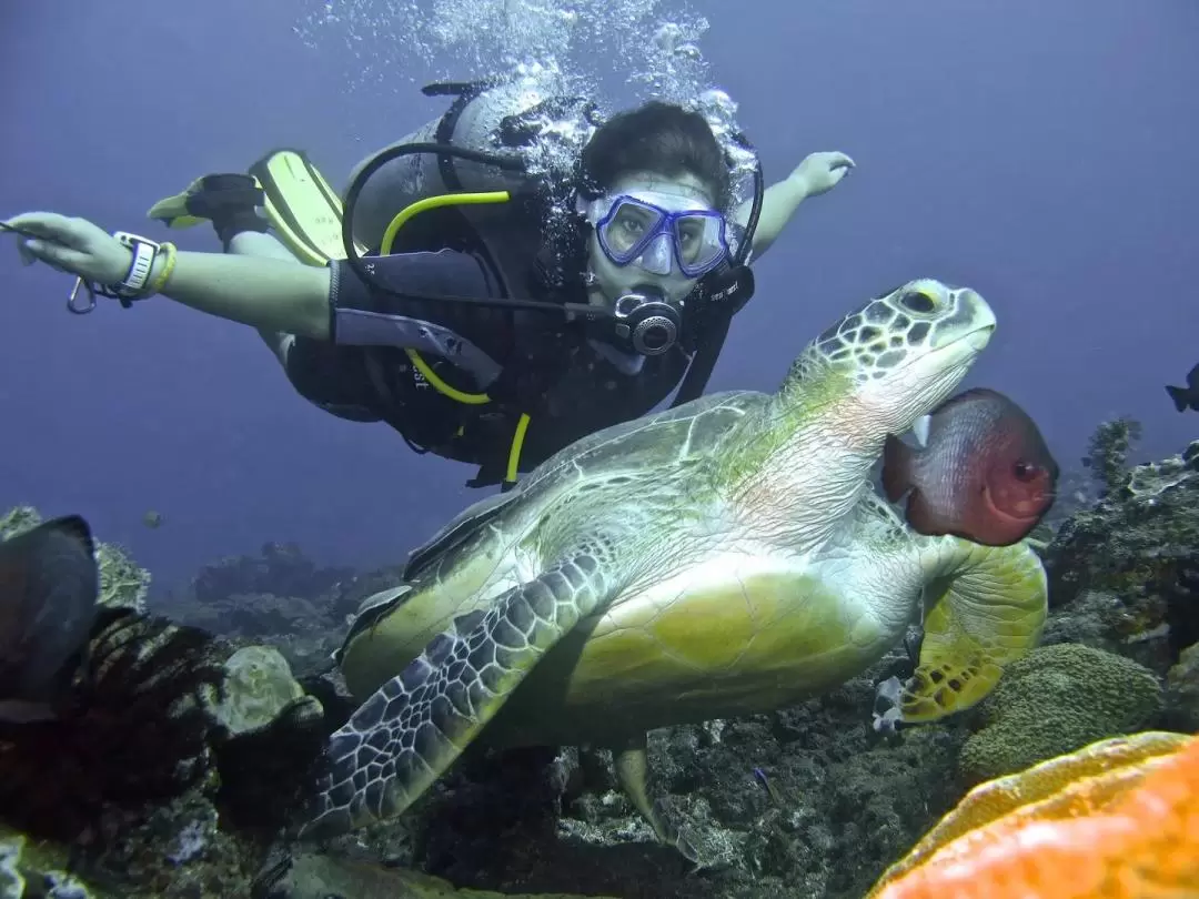 パダンバイ PADIディスカバースキューバダイビング（バリ / PADI 5 Star Dive Center提供）