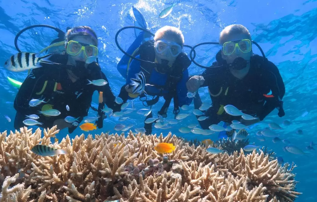 Quicksilver Outer Barrier Reef Full Day Cruise from Port Douglas