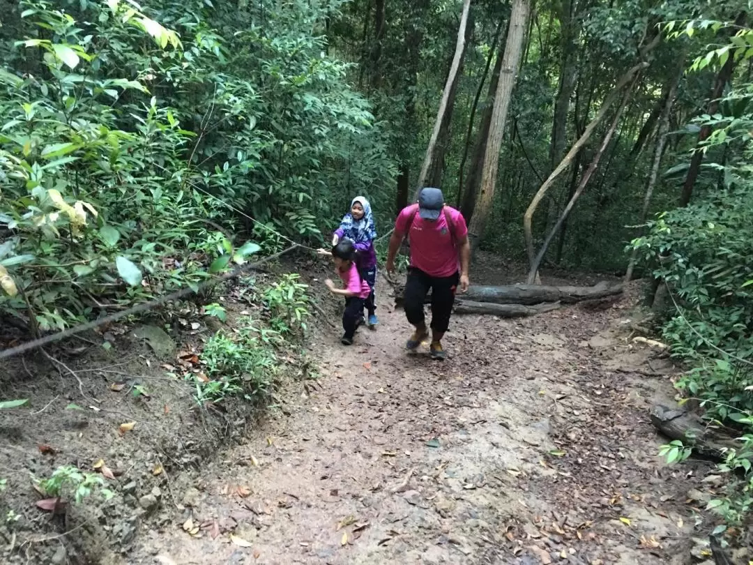 Bukit Keluang Hiking Experience in Terengganu