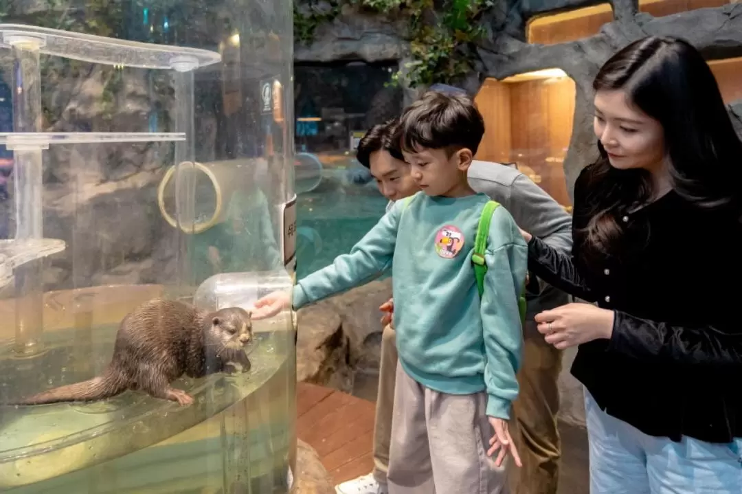 首爾Zoolung Zoolung室內動物主題樂園門票