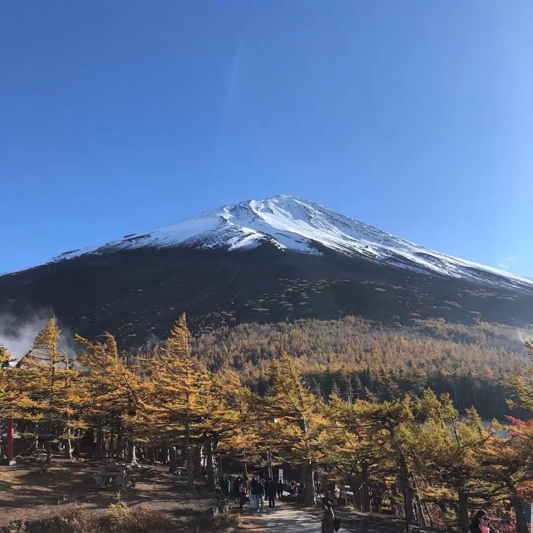 富士山＆蘆之湖＆大涌谷一日遊（東京出發）