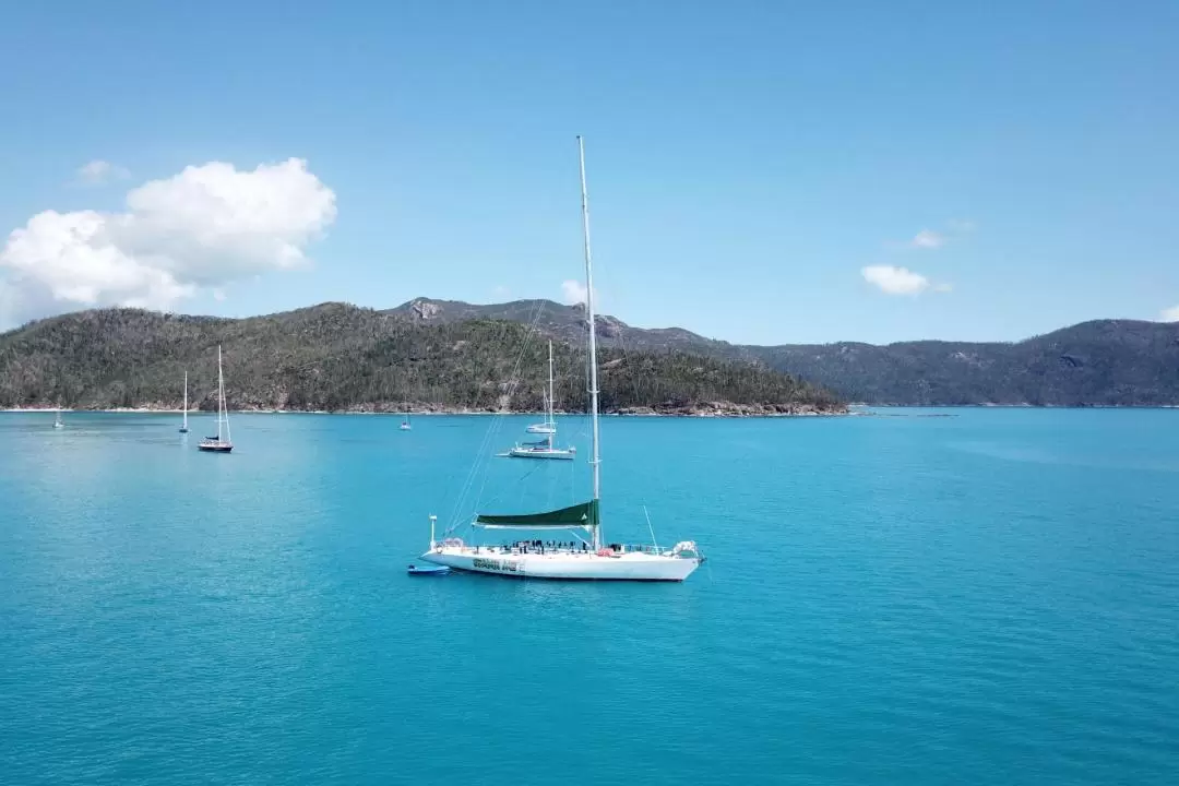 Spank Me Sailing and Camping Adventure in Whitsundays 