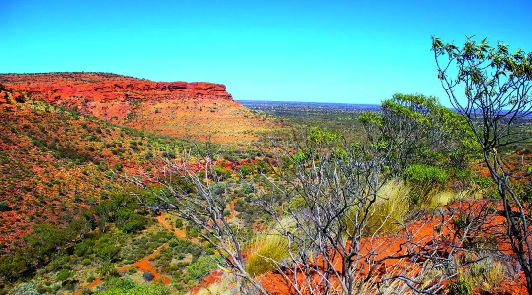 Shared Shuttle Bus Transfers from Kings Canyon to Alice Springs