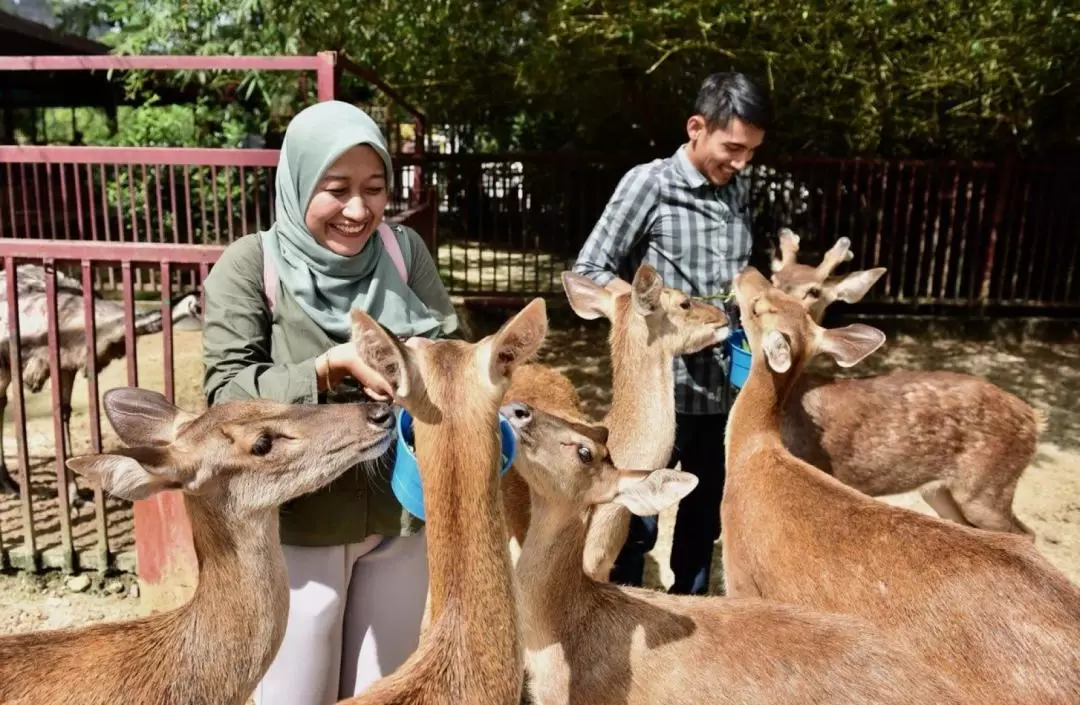 蘭卡威野生動物園門票