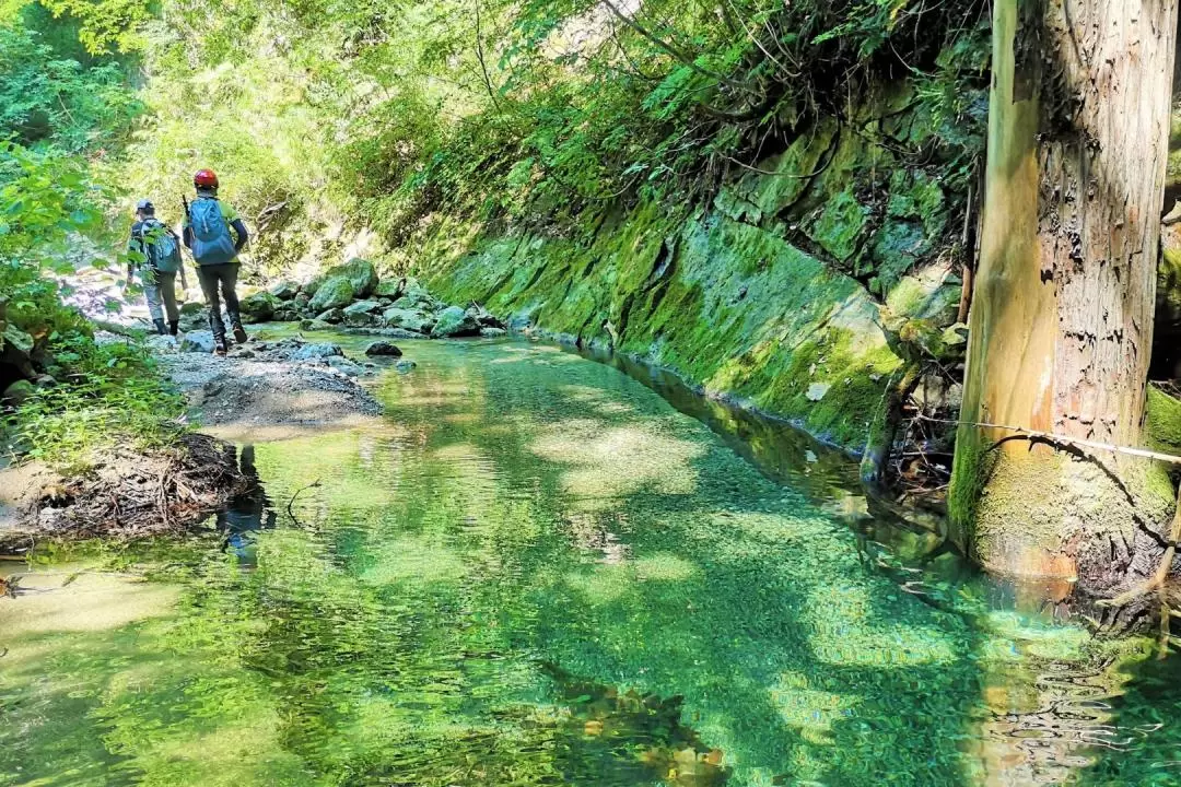 Shirakami River Trekking Experience