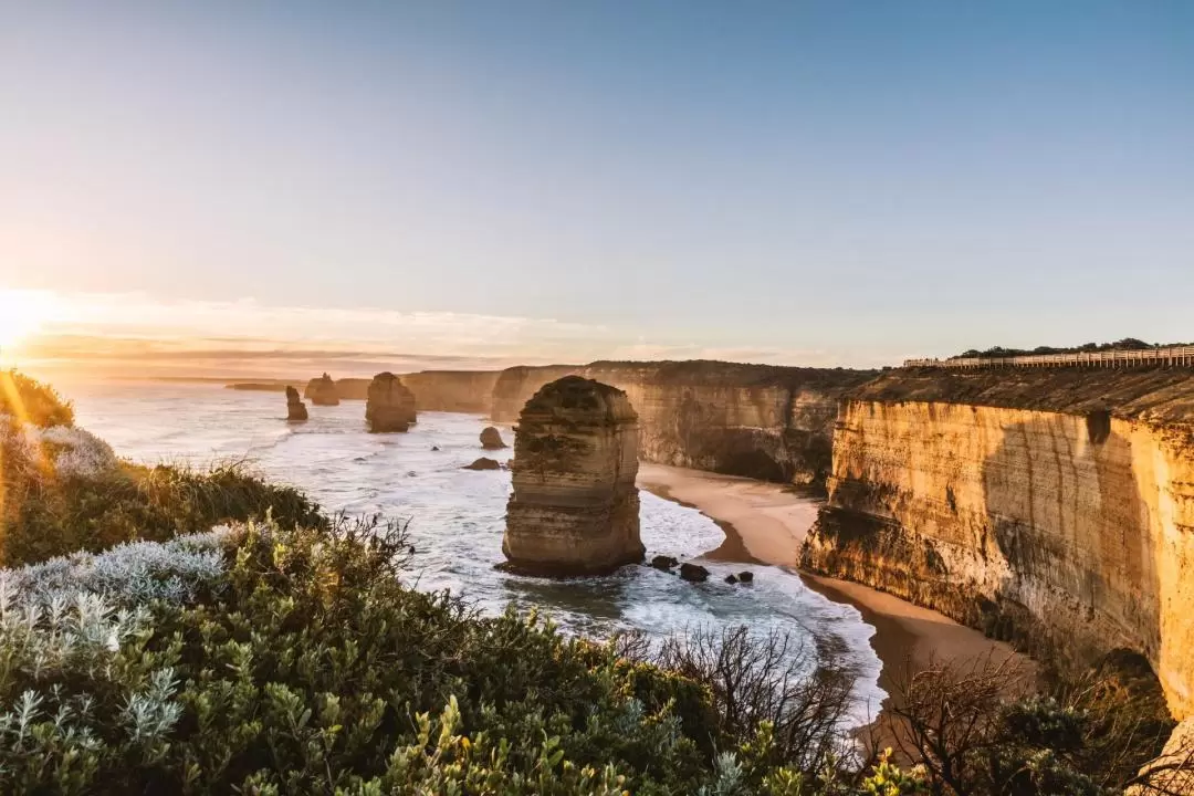 Great Ocean Road and 12 Apostles Day Tour from Melbourne