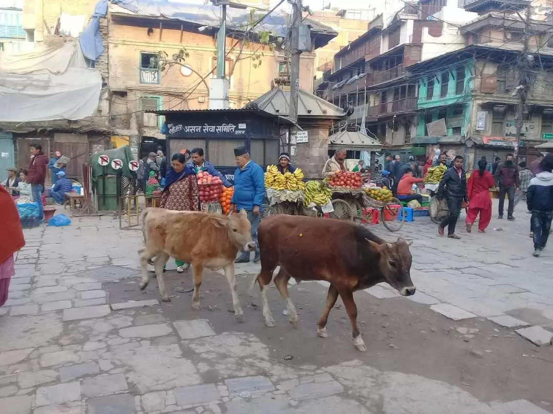 Kathmandu Bazaar Walking Tour