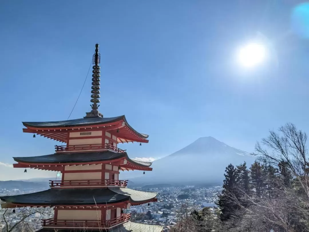 From Tokyo: Mount Fuji area highlights Full-Day Private Trip