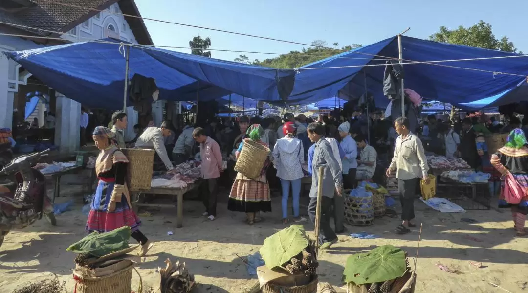 Bac Ha Market and Ban Pho Village Day Tour from Sapa