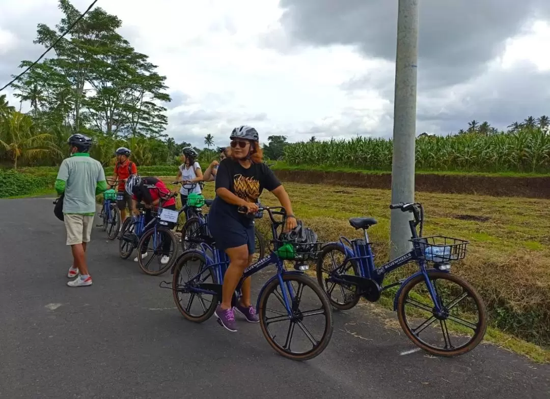 Sanur Village e-Bike Tour in Bali