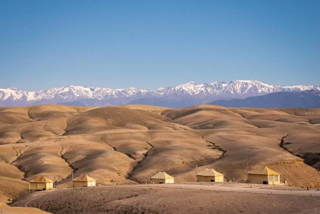 Agafay Desert and Atlas Mountain with Camel Ride from Marrakech