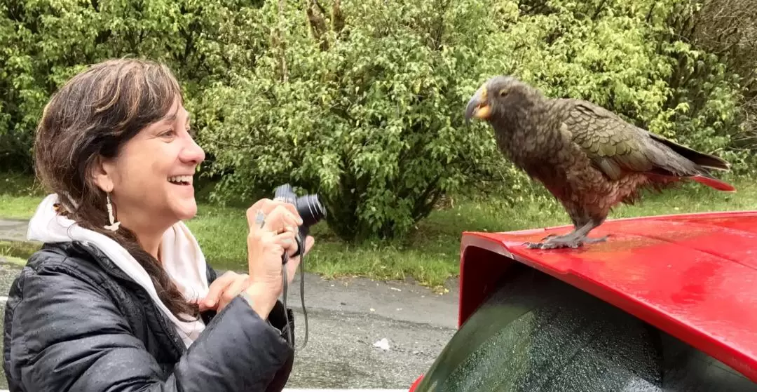 Milford Sound Private Tour from Te Anau