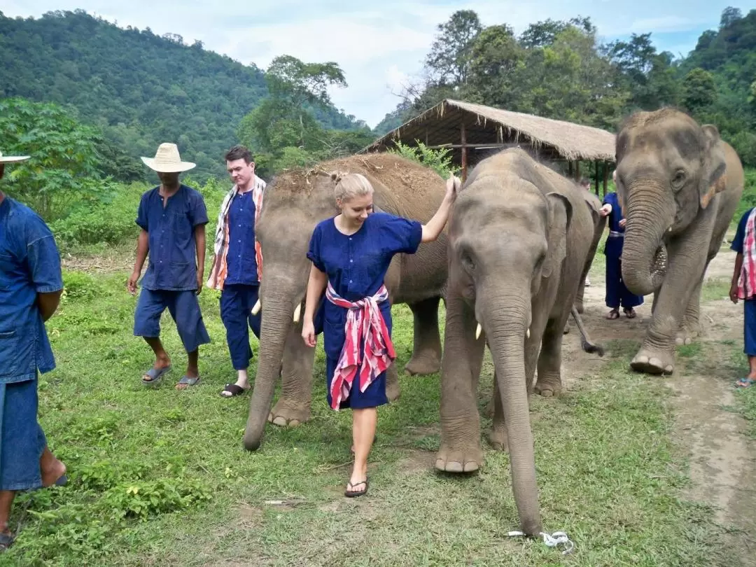 Elephant Sanctuary with Trekking, ATV, Zipline, and Rafting Adventure in Chiang Mai