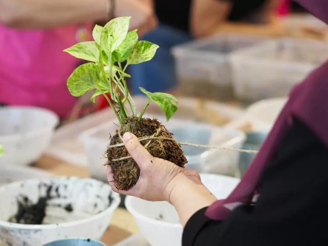 新加坡義順苔玉工作坊