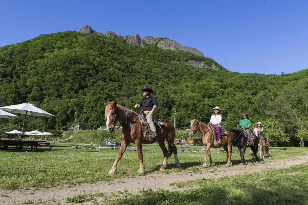 Sapporo Horseback riding experience! 