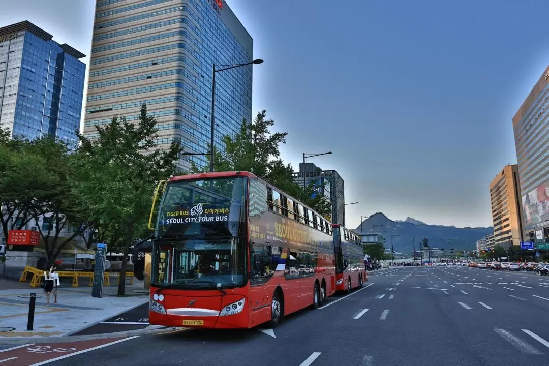 首爾城市觀光巴士夜景路線之旅