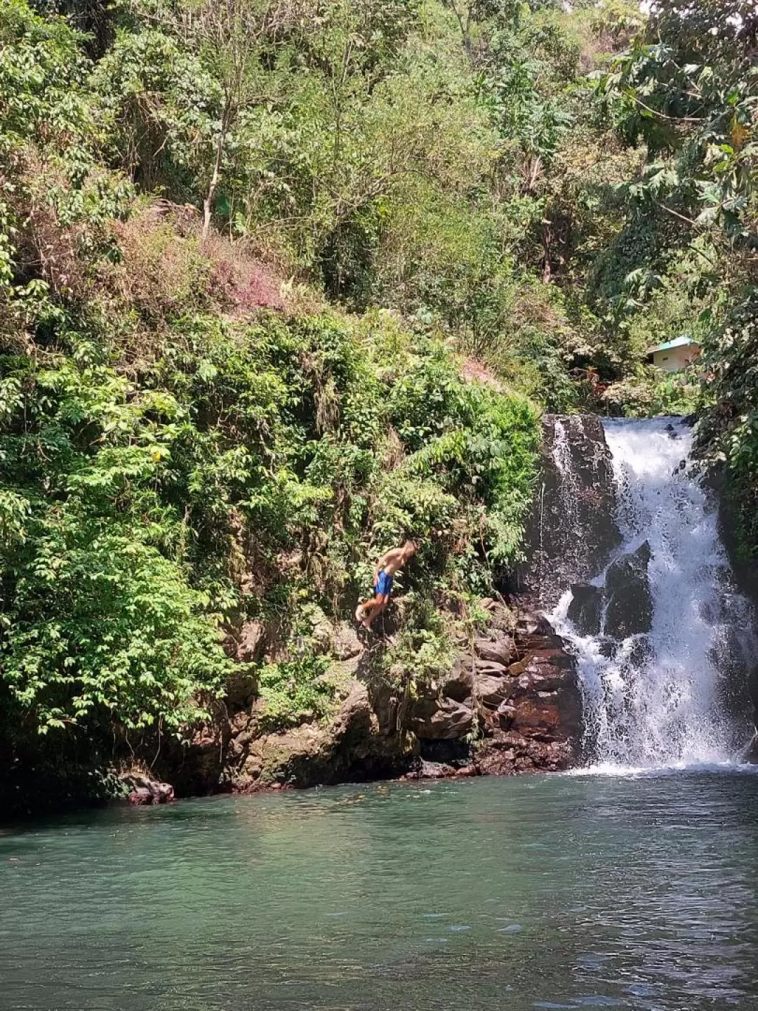 Sambangan Waterfalls with Wanagiri Swing Day Trip