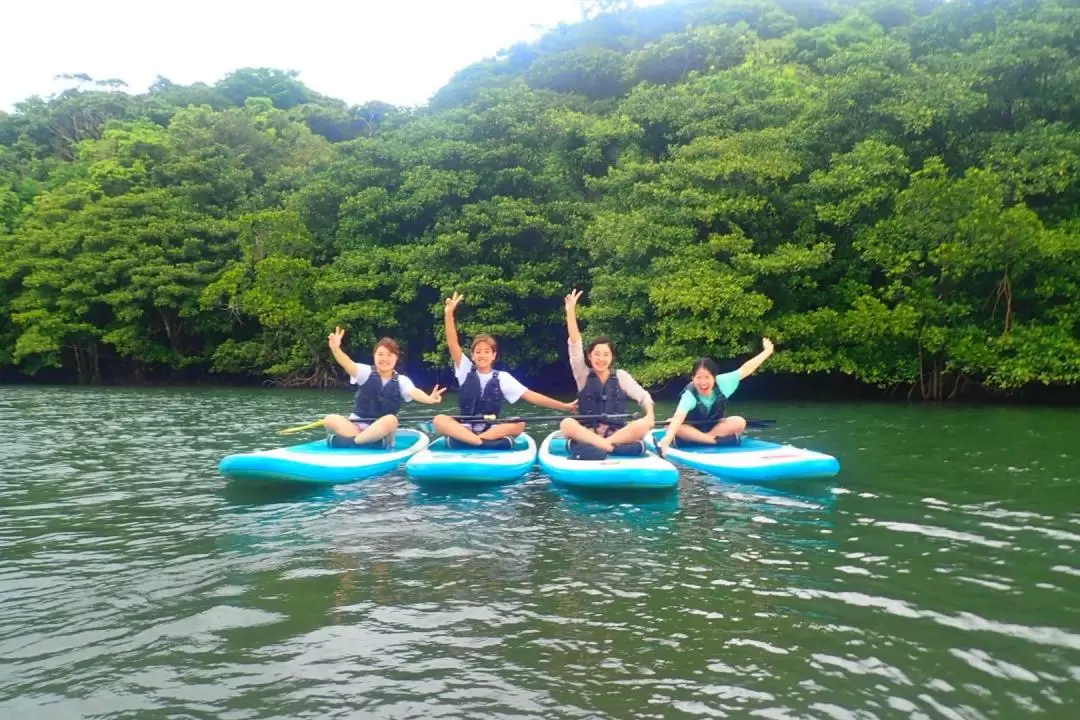 SUP or Canoe at Mangrove Forest and Explore Limestone Cave