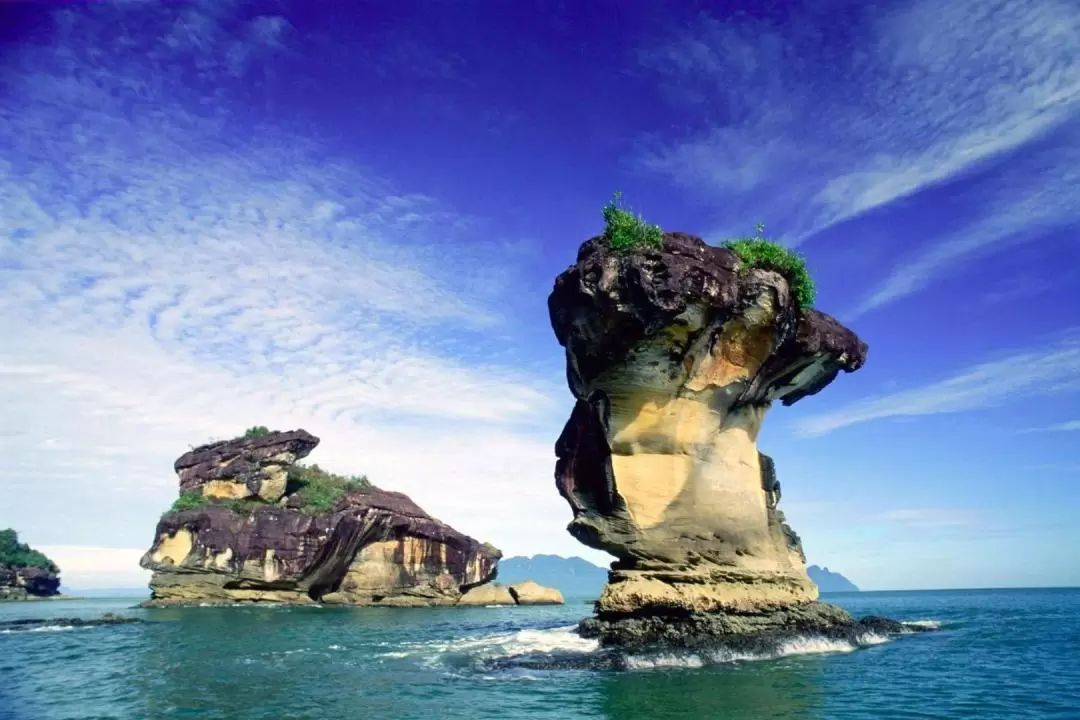 2D1N Sarawak Bako National Park Tour with Night Safari Walk