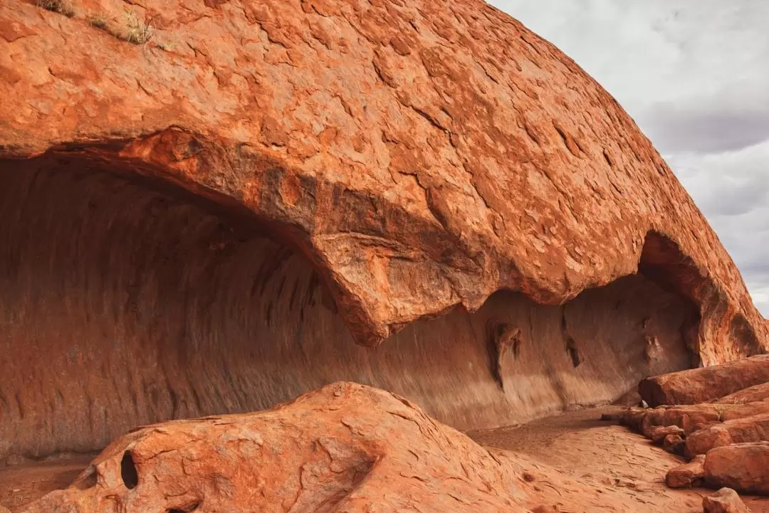 Uluru-Mala Cultural Walking 2 hours 30 minutes tour