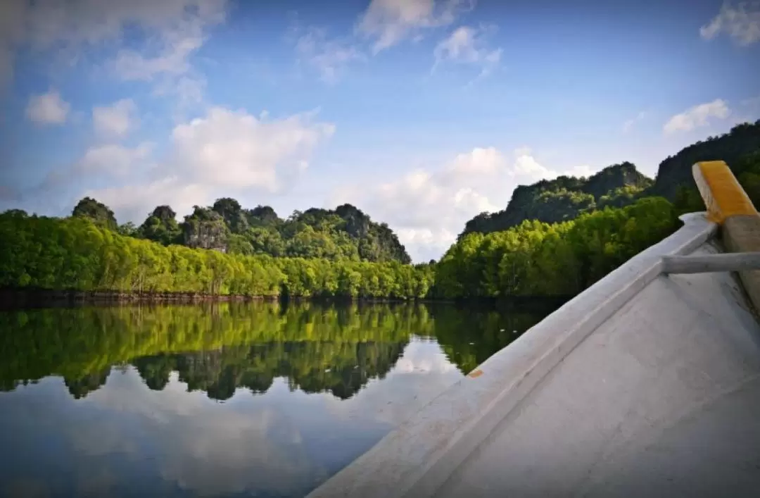 Private Mangrove Boat Tour With Transfer and Meal in Langkawi