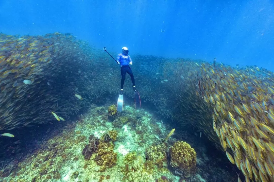 From Ko Tao: Snorkeling Day Trip Ko Tao & Ko Nang Yuan with Meals