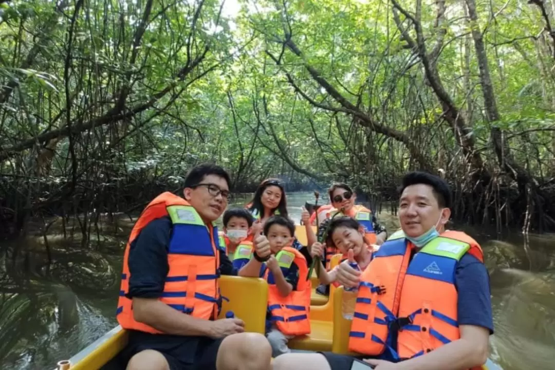 Mangrove / Fireflies Bintan Tour