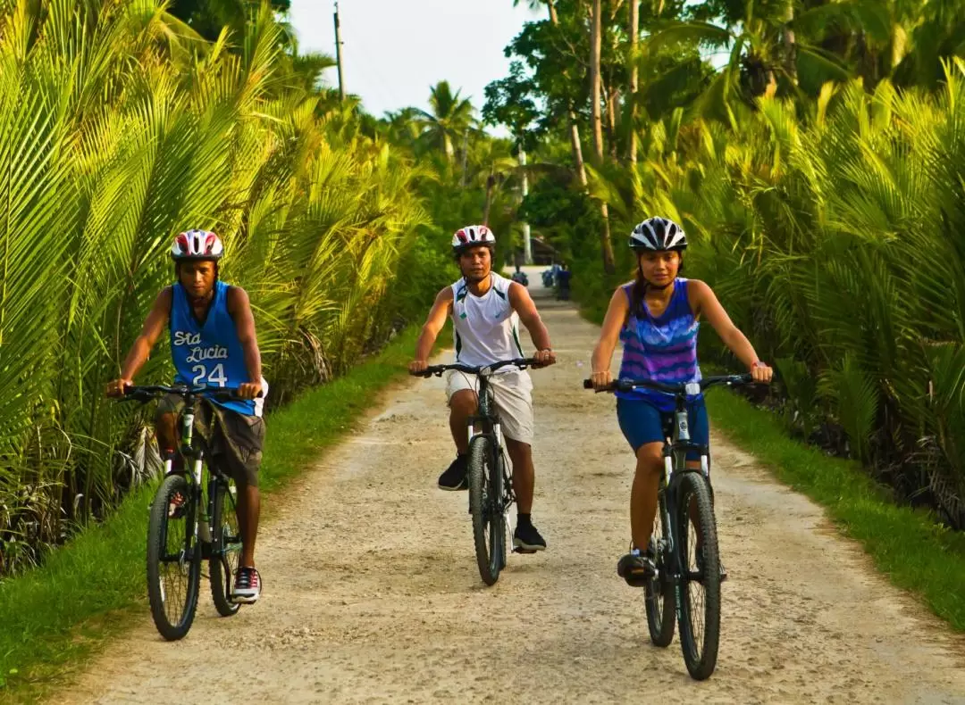 Scenic Mountain Bike Tour Across Bohol's Countryside