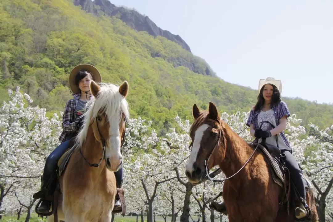 Sapporo Horseback riding experience! 