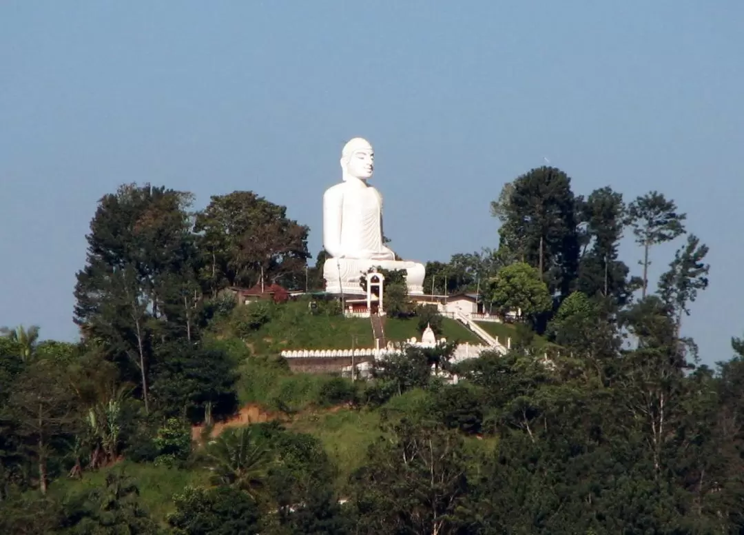 Nuwara Eliya Day Tour from Kandy