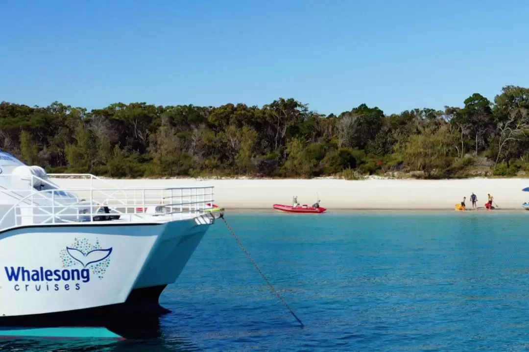 Whalesong Fraser Island Beach and BBQ Cruise from Sunshine Coast