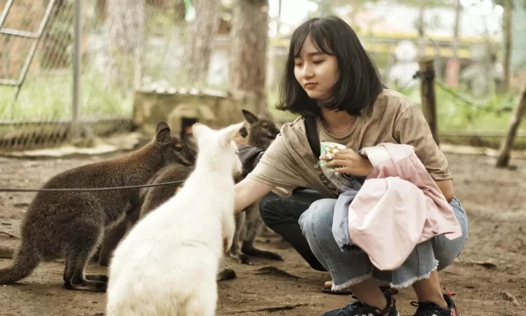 大叻 ZooDoo 動物園門票