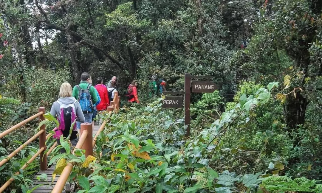 日萊峰（Gunung Jasar Mountain）徒步之旅