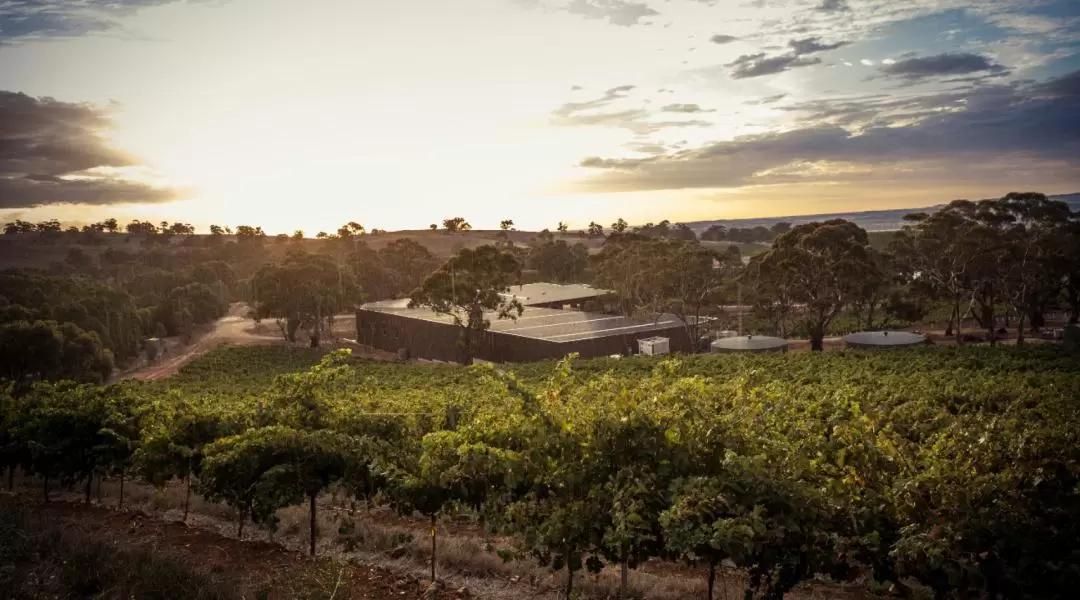 Barossa Valley Food and Wine Full Day Tour from Adelaide